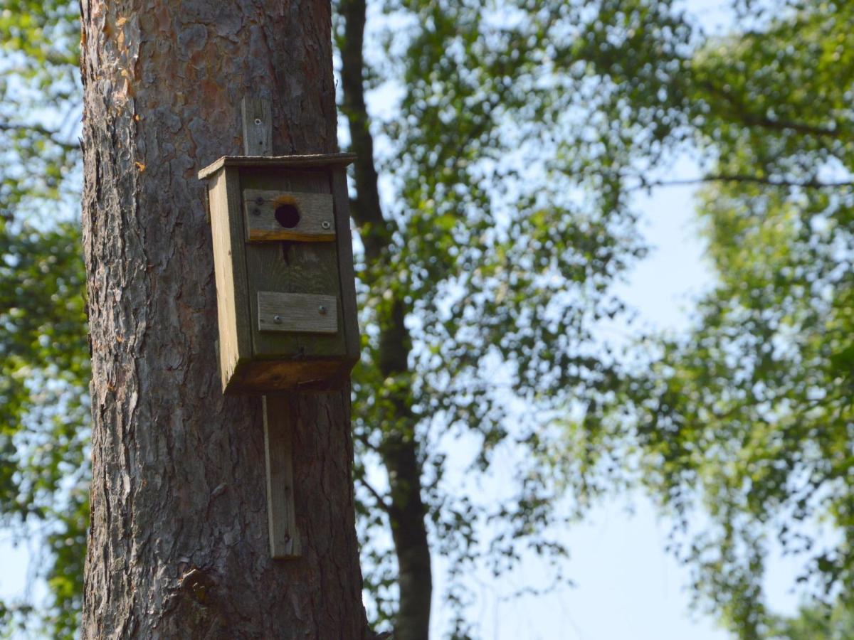 Detached Holiday Home With Sauna Large Garden Stramproy エクステリア 写真